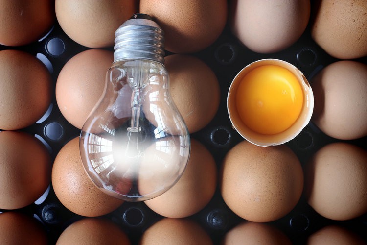 chicken-coop-light