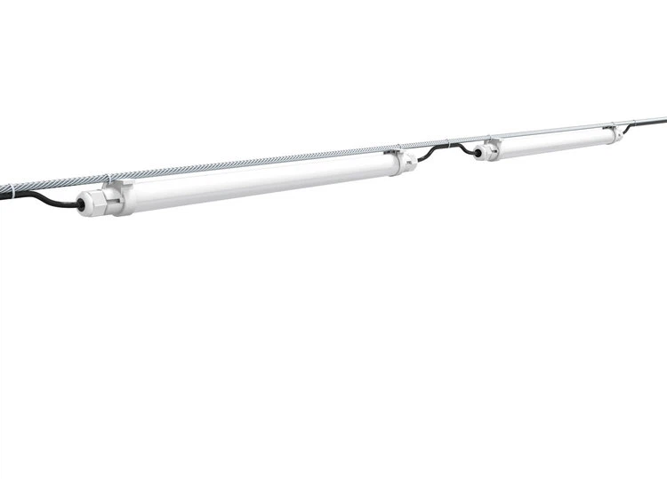 best light for chicken coop best light for chicken coop