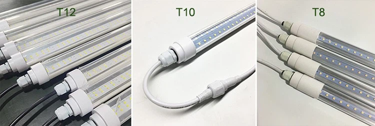 led light for swine