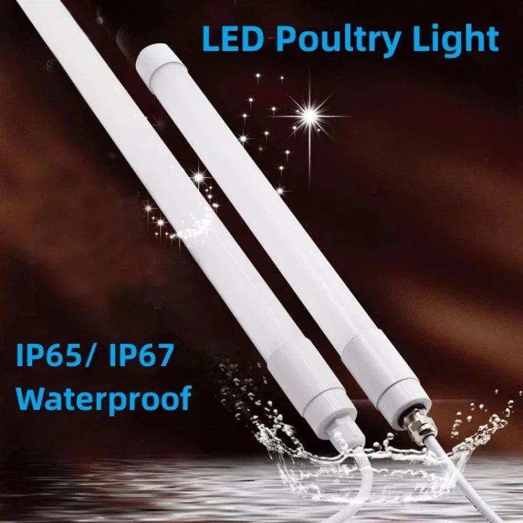 led tube lights 12v