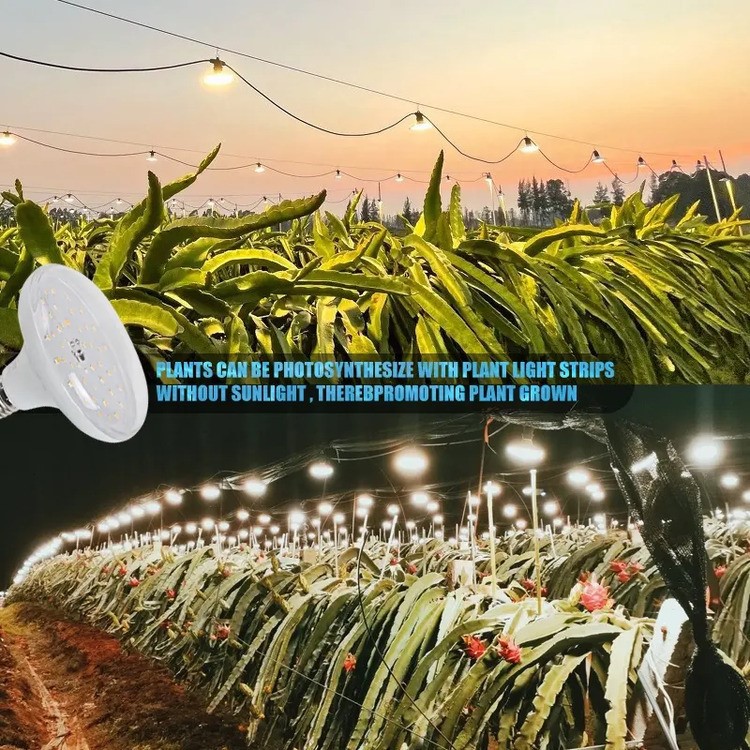 18w plant light for growing 3 18w plant light for growing 3