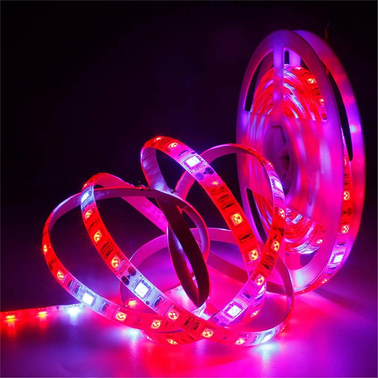 5050 full spectrum led strip grow light for plant growth 5050 full spectrum led strip grow light for plant growth