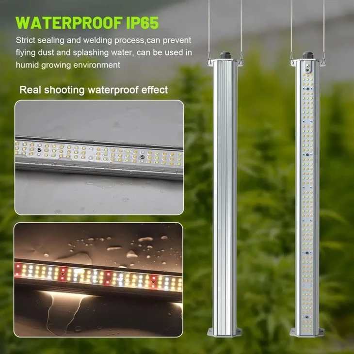 Full Spectrum Integrated Tomato Growing lights 4