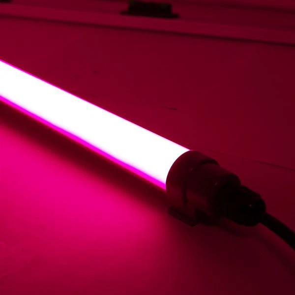 Lampu Led Merah Untuk Unggas