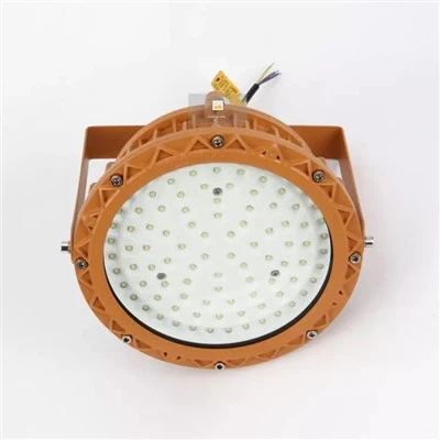 Lampu Sorot Luar Ruangan Bulat tahan ledakan