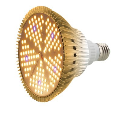 Lampu Tumbuh Dalam Ruangan Untuk Sayuran