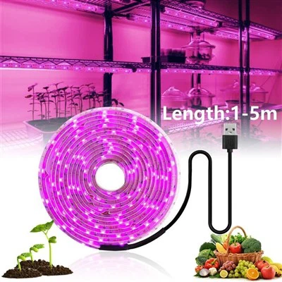 USB LED Tumbuh Ringan Strip