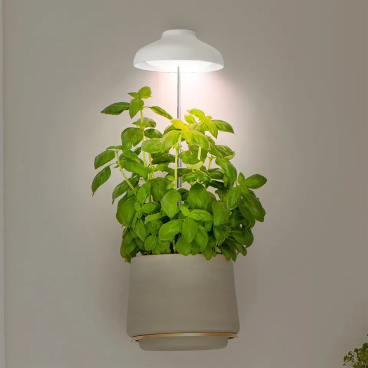 Umbrella Grow Light
