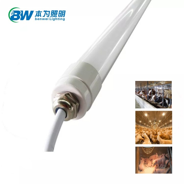0-12V Dimmable 4800K 12W Chicken Light