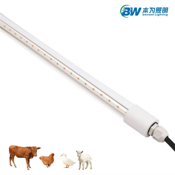 18W 4FT Waterproof LED Tube Poultry Light