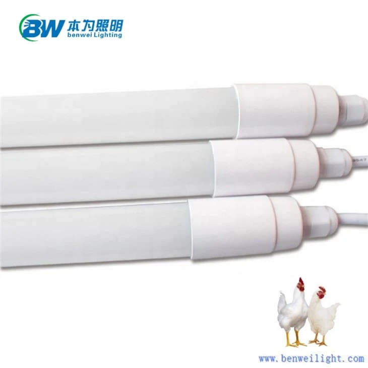 Chicken Light With 0-10V 5000K 30W 20W