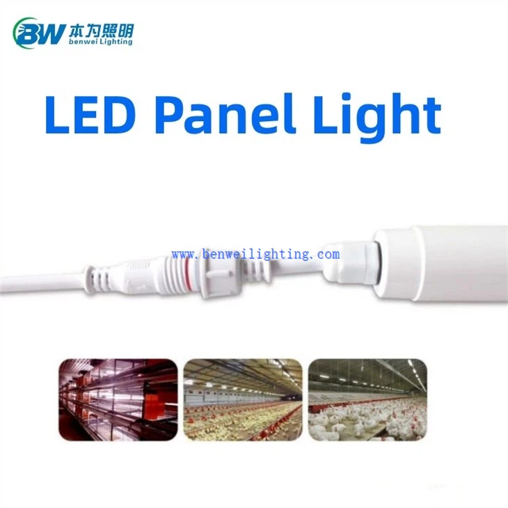 battery operated light for chicken coop