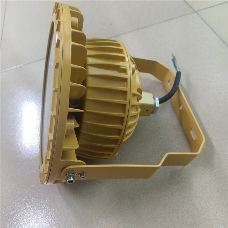 IP66 Waterproof Explosion Proof Led Flood Light Ex Safe CE RoHS