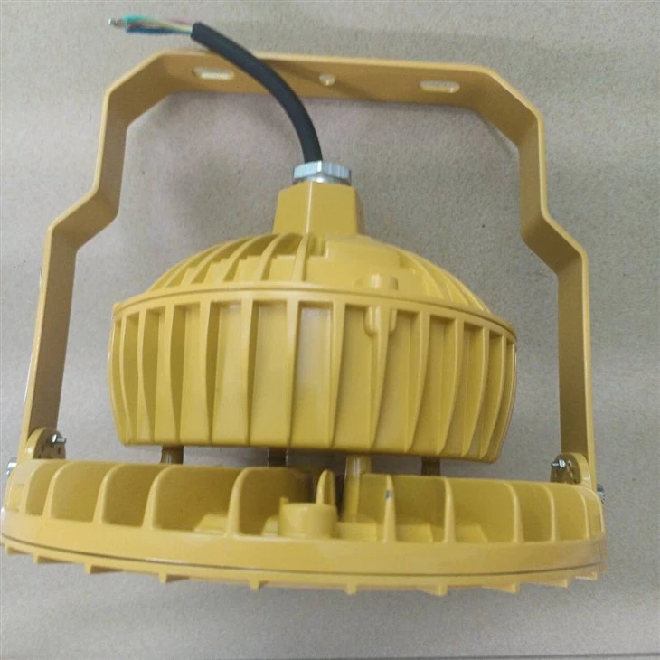 IP66 Waterproof Explosion Proof Led Flood Light Ex Safe CE RoHS