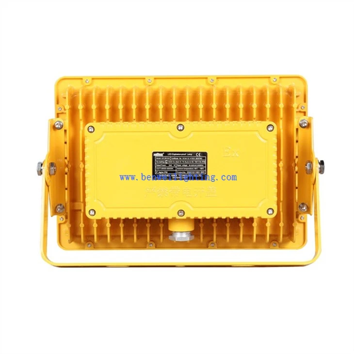 Fire-resistant light (3)