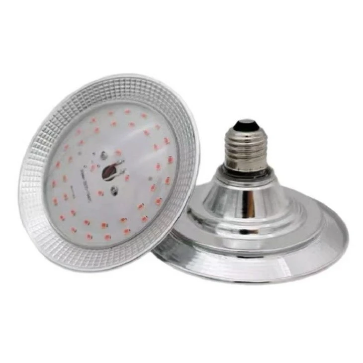 Full Spectrum Pitaya LED Grow Light factory