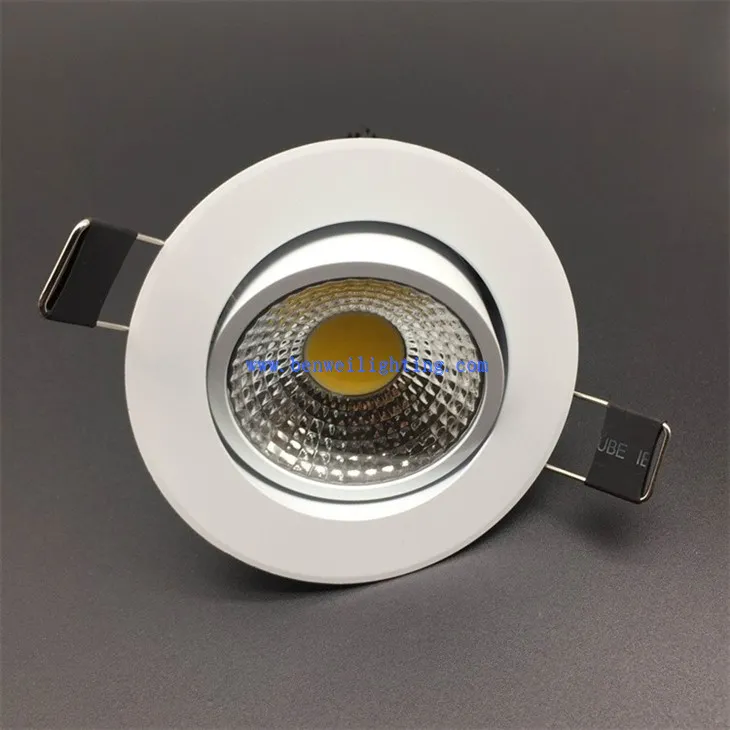In-ceiling Light (1)