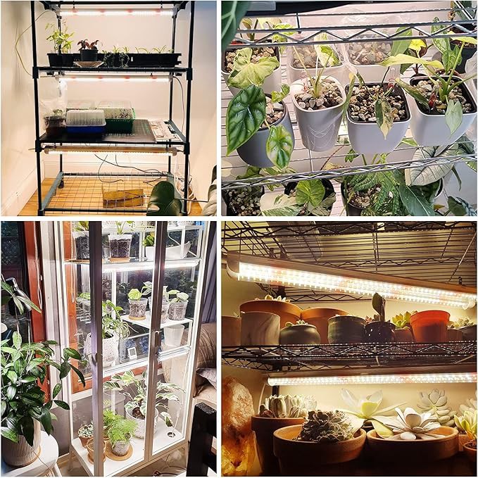 plant grow light plant grow light