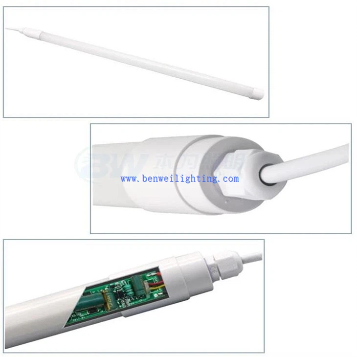 Integrated Poultry Lamp (5)
