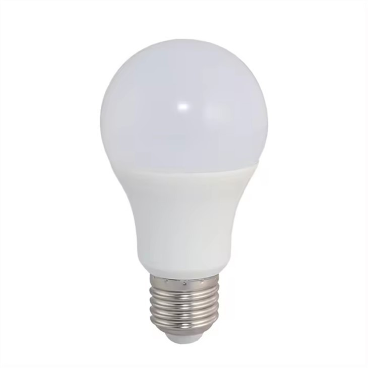 Light Bulb For Classroom