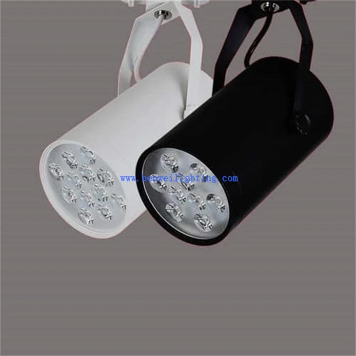 Rotatable Track Light (2)