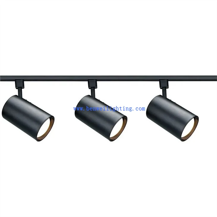 Rotatable Track Light (4)