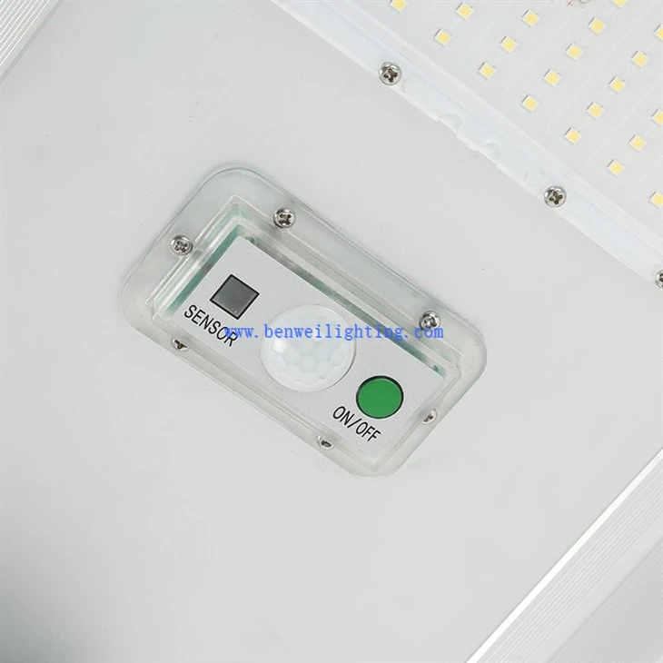 Self-Sustaining Pathway Lamp (5)