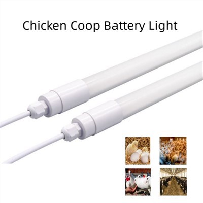 Lampu LED 9w Untuk Ayam