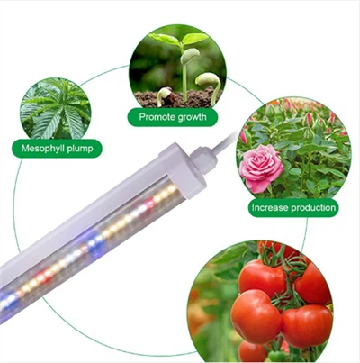 Lampu Tumbuh T8 Lampu Tumbuh Dalam Ruangan Led